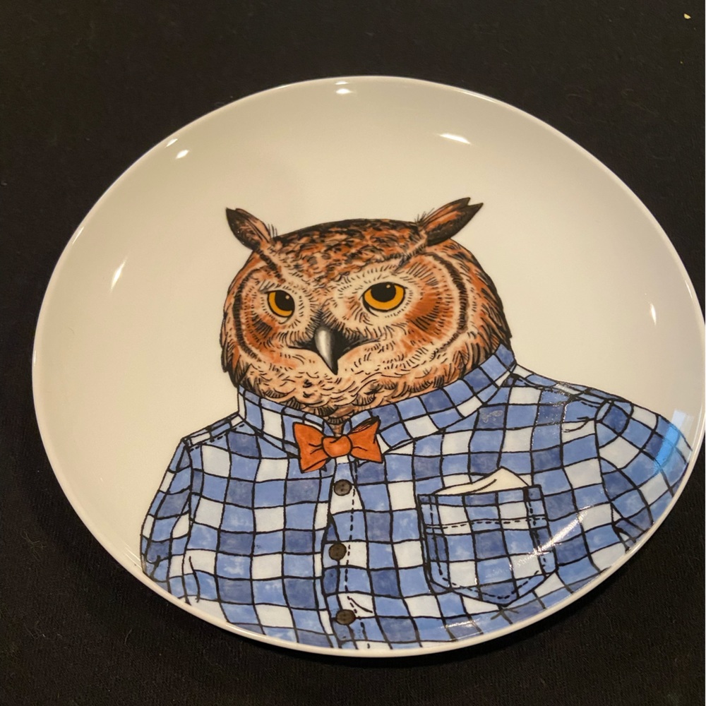 Rachel Kozlowski +West Elm owl plate